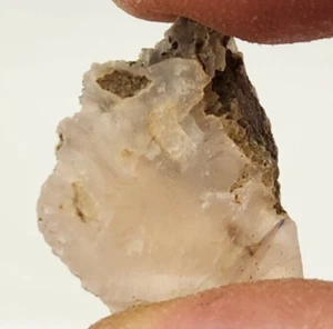 Achatversteinertes Holzstück - Oregon - Miozän (?) - Fossil - Bild 1 von 5
