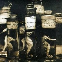 Kcrw-Rare on Air Vol.2 von Various | CD | Zustand sehr gut - Bild 1 von 2