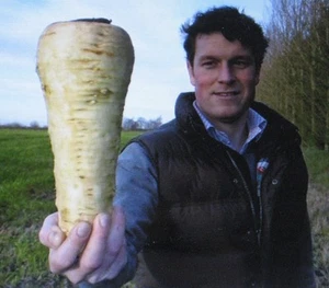 RARE*GIANT*BUTTERSCOTCH PARSNIP*MEDICINAL*50 SEEDS*SWEETER THAN CARROTS - Picture 1 of 5