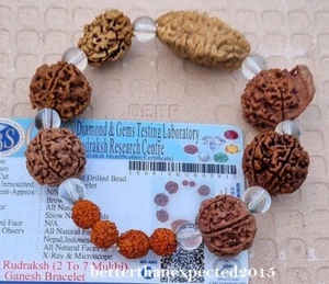 Rudraksha 2 3 4 5 6 7 Mukhi (Face) +Ganesha Beads Wrist band bracelet Certified - Picture 1 of 5
