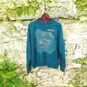 Sudadera de Colección Kenora Ontario Canadá Gráfico Naturaleza Pullover Doble Cuello / M - Imagen 1 de 9
