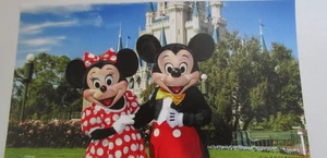 New Disney Parks WDW Beautiful Mickey & Minnie Photo Card 11 by 6 in Frameable - Bild 1 von 2