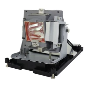 LAMPADA PROIETTORE COMPATIBILE LAMPADINA PER OPTOMA BL-FU310B DH1014 DAEHUZZ EH500 BR561 - Foto 1 di 5