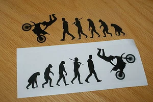 Evolution - Pegatina de bicicleta de tierra - VENDEDOR DEL REINO UNIDO - Imagen 1 de 1