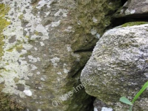 Photo 6x4 Hidden bench mark alongside the B6480 Settle This hidden bench c2009 - Picture 1 of 1