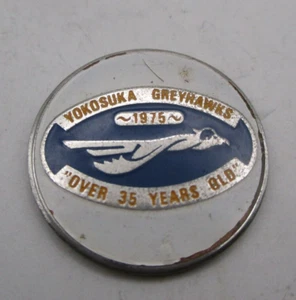 Emblema vintage 1975 Marina de los Estados Unidos VAW-120 Greyhawks Yokosuka Japón nombre etiqueta - Imagen 1 de 3