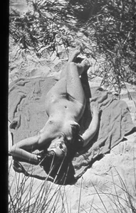 DDR -  DIA  -  Akt    - Frau -  Kunst -Ostsee - schwarz /weiß Glasdia - Bild 1 von 1