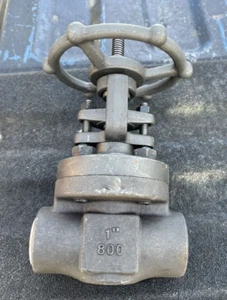 NEW 1" VOGT 12111, THREADED #800 GATE VALVE, A105 MATERIAL CARBON STEEL - Picture 1 of 8