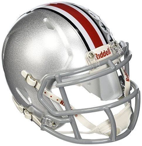 Riddell Unisex Adult Ohio State Buckeyes Team Helmet, Size Mini - Silver (RIDDMINIUOHSSP)