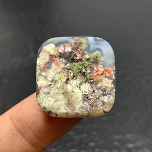 Scenic Moss Plume Agate Cabochon 21x20.5x4.5mm High Quality 21 ct - Picture 1 of 6