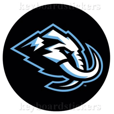 Disco de hockey de recuerdo Utah Mammoth - NUEVO Foto 1 de 2