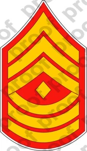 STICKER RANK USMC DB E8 FIRST SERGEANT   ooo   USMC Lisc No 20187 - Picture 1 of 1