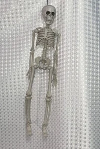 Halloween Skeletons Decoration Outdoor Indoor, Realistic 16" Full Body Posable P - Picture 1 of 5