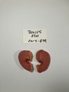 A pair of Odo ears, part of Rene Auberjonois’s make-up