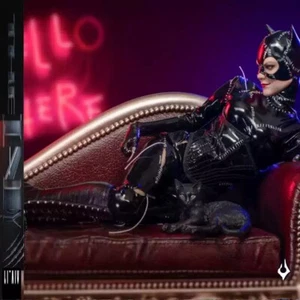 1/6 Scale Female Solider Doll Cat Lady Deluxe Selina Kyle 12in Action Figures - Picture 1 of 12