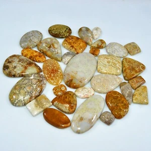 29Pcs 965Ct Natural Fossil Coral Loose Cabochon Gemstone Lot 52x30 20x10mm #3146 - Picture 1 of 6