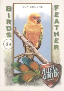 Sun Conure - Birds of a Feather 2021 Topps Allen & Ginter #BOF-2 - Bild 1 von 2