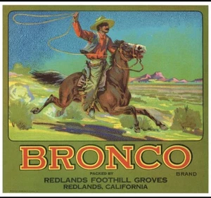 BRONCO Vintage orange Kistenetikett Art Deco große Farbe ORIGINAL 192O-1930 TOP - Bild 1 von 1