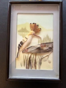 VINTAGE GERAHMTES CHINESISCHES REALISTISCHES VOGELBILD MIT FEDERN SEHR REALISTISCH AUSSEHEND - Bild 1 von 4