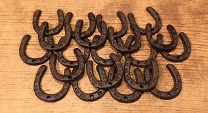 Cast Iron 2" Tall Extra-Small Horseshoe (Case of 500) Wedding Favors 05211Clr - Picture 1 of 12