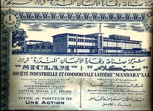 EGYPT 1948 COLLECTIBLES OLD SHARE SICLAM MANDARA INDUSTRIAL TRADING DAIRY CO - Picture 1 of 2