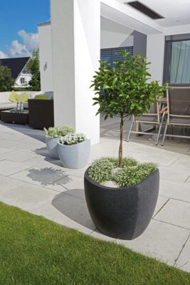 Scheurich Blumentopf Wave Globe Slim Wellenform Versch. Farben und Größen - Bild 1 von 4