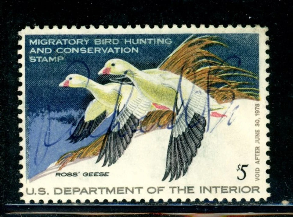 US Scott # RW44 - Used - Nice Centering - Signed       (30-C253) - Image 1 of 1