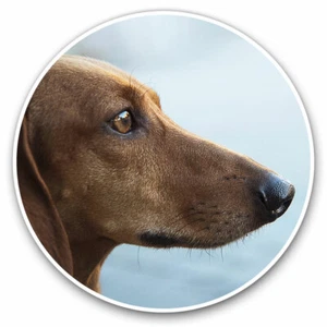 2 x Vinyl Stickers 20cm - Brown Miniature Dachshund Dog Face Cool Gift #16960 - Afbeelding 1 van 9
