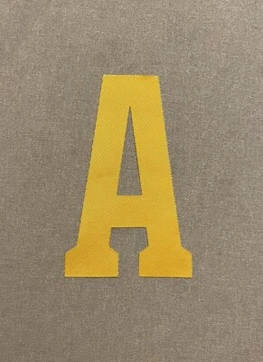 2024 Boston Bruins Centennial Game jersey Alt Captain A Patch McAvoy Pastrnak - Image 1 of 3