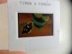 Timon And Pumbaa 1995 Walt Disney Channel One (1) 35Mm Color Slide Lion King