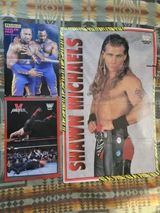 Vintage WWF Poster Lot Huge Shawn Michaels 1995 32" x 21" Booker T Vader Titan - Bild 1 von 22