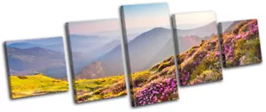 Highlands Rhododendron Landscapes MULTI CANVAS WALL ART Picture Print VA - Picture 1 of 1