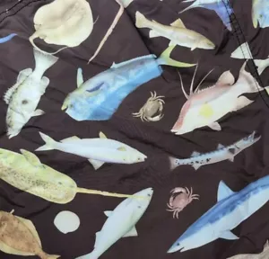 Bañador Narwhal Kavu AOP Raya Tiburón Pez Estampado Forrado 8" Marrón Grande Usado en Excelente Condición - Imagen 1 de 21