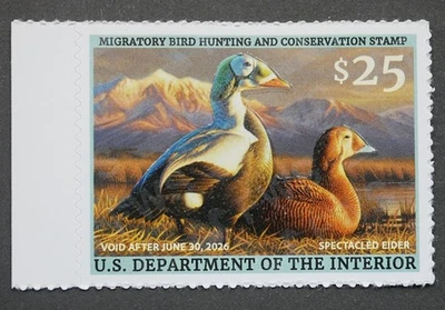 RW92 Federal Duck Hunting Stamps MNH OG Migratory Bird Hunting Stamp 2025 - Image 1 of 2
