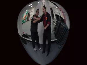 DVD MindSets #2 SILAT PENJUT KILAT FUKIEN Guru Santana patterns of indonesia ST - Picture 1 of 4
