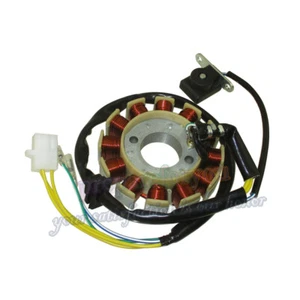 Estator de encendido Magneto de 12 bobinas para ciclomotor scooter GY6 125cc 150cc - Imagen 1 de 7