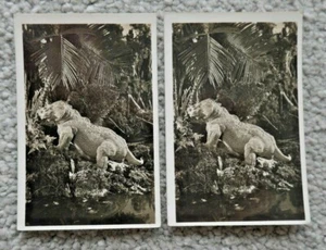 PARIASAURUS BAINI PREHISTORIC TIMES #9 L&R CAVANDERS CIGARETTE PHOTO CARDS  J347 - Picture 1 of 2