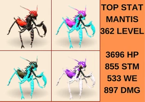 Mantis TOP STAT & EGGS 🐣 362 LEVEL Ark Survival Ascended Official PVE - Bild 1 von 6