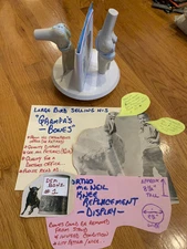 Vintage Anatomical Knee Joint Model Dr. Office Medical Display Knees Quality ☠️