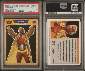 Ric Flair PSA 10 2023 Leaf Pro Set Metal Web Exclusive Gold Prismatic 1/199 1/1 - Picture 1 of 3