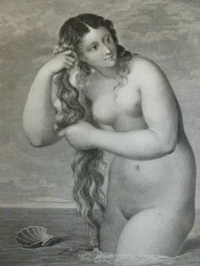 TITIEN VECELLI / VENUS A LA COQUILLE 1862 - Foto 1 di 2