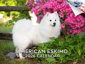 American Eskimo Dog Breed Calendar 2026 12x18 Made in USA - Picture 1 of 7