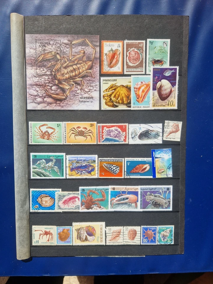 +25 Timbres coquillages & crustacés + 1 Bloc   ( lot LV 122 ) - Photo 1/1