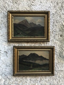 Coppia di quadri antichi -Paesaggi Alpini- dipinti a olio su tavoletta - Bild 1 von 24