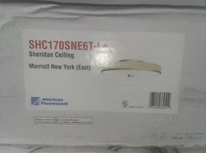 AFX Sheridan 22" Semi-Flush Light Fixture, Champagne SHC170SNE6T-LA - Picture 1 of 3