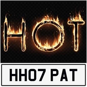 HOT PAT! PATRICIA PATRICK REGISTRO PRIVADO PRECIADO MATRÍCULA HH07 PAT - Imagen 1 de 2