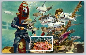 #5713k National Marine Sanctuaries Young Rockfish & Reef FDC Maxi Card w/Pictori - Picture 1 of 2