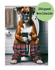 Boxer Dog Sitting On Toilet With Mobile Phone Print Funny Dog Wall Art Print