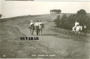 Ponyreiten bei Clent RP Nr. Stourbridge, Halesowen, Kidderminster - Bild 1 von 2