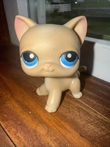 LITTLEST PET SHOP LPS #228 Vintage Authentic Cat Shorthair Cream Blue Eyes - Picture 1 of 6
